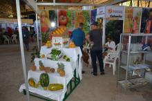 Matanzas lista para participar en la 38 Feria Internacional de La Habana