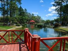Explora el corazón verde de La Habana en un viaje inolvidable