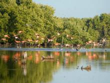 Parque Nacional Caguanes