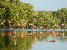 Parque Nacional Caguanes