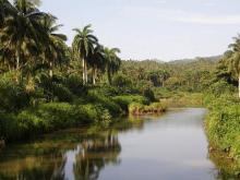 Cuba protege sus reservas ecológicas 