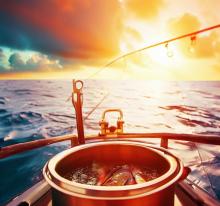 Pesca