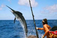 Torneo de Pesca Big Game Trolling
