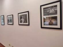 Abre exposición Alas por la vida en Museo del Ron Havana Club