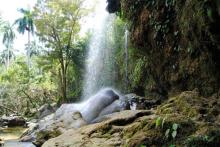 Cuba destaca en el turismo verde mundial