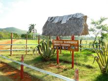 Camagüey se prepara para impulsar el turismo rural