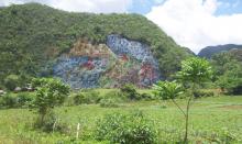 valle viñales