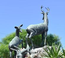 Zoológico de 26, un lugar tradicional de La Habana