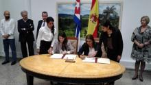 Cuba inicia estudio para la creación de mercado mayorista