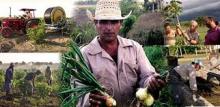Agrodesarrollo 2014 tiene confirmados más de 300 delegados del mundo