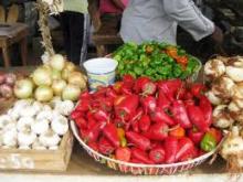 Alimentos e inocuidad, ¿carta a jugar por el turismo cubano?