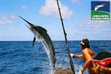En Jardines del Rey torneo de pesca Big Game Trolling 