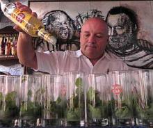 Trabajador turístico cubano celebra su día con grandes logros en el sector