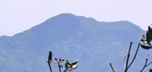 Buena Vista, el nuevo techo montañoso de Guantánamo