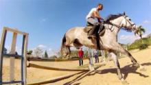 A propósito del Remate Élite de Cuba: Los caballos más caros del mundo 