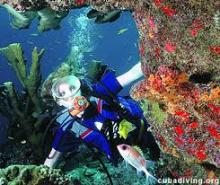 10 escenarios mejor recomendados de buceo en Cuba