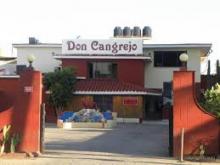 Cocodrilo y avestruz, novedades exóticas en la carta de Don Cangrejo