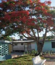 Santiago de Cuba, ¿provincia jardín?