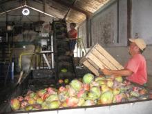 Pequeñas industrias como alternativa alimentaria en Ciego de Ávila