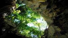 Disfrutar de la naturaleza camagüeyana
