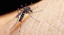 OPS selecciona a Cuba para reunión regional sobre el zika