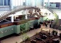 Museo Tomás Romay contribuye a la educación medioambiental