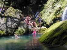 Cuba revisa Estrategia Nacional de Biodiversidad