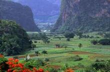 Pinar del Río: un destino turístico para no olvidar