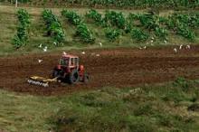 Taller de Alianza por el Suelo en Cuba alerta sobre degradación
