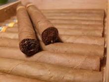 Dioses y colores: un poco de historia del tabaco