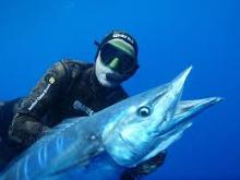 Convocan a Torneo de Internacional de Pesca del Wahoo 2015 (+Programa y Premios)
