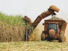 Cuba invierte en sector azucarero