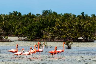 Guanahacabibes, destino clave para el ecoturismo en Cuba