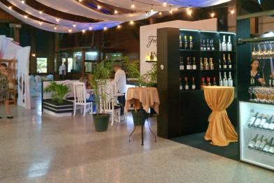 Fiesta Internacional del Vino