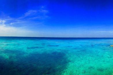 Punta Perdiz