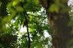 La rica biodiversidad que puedes encontrar en las Lomas de Banao